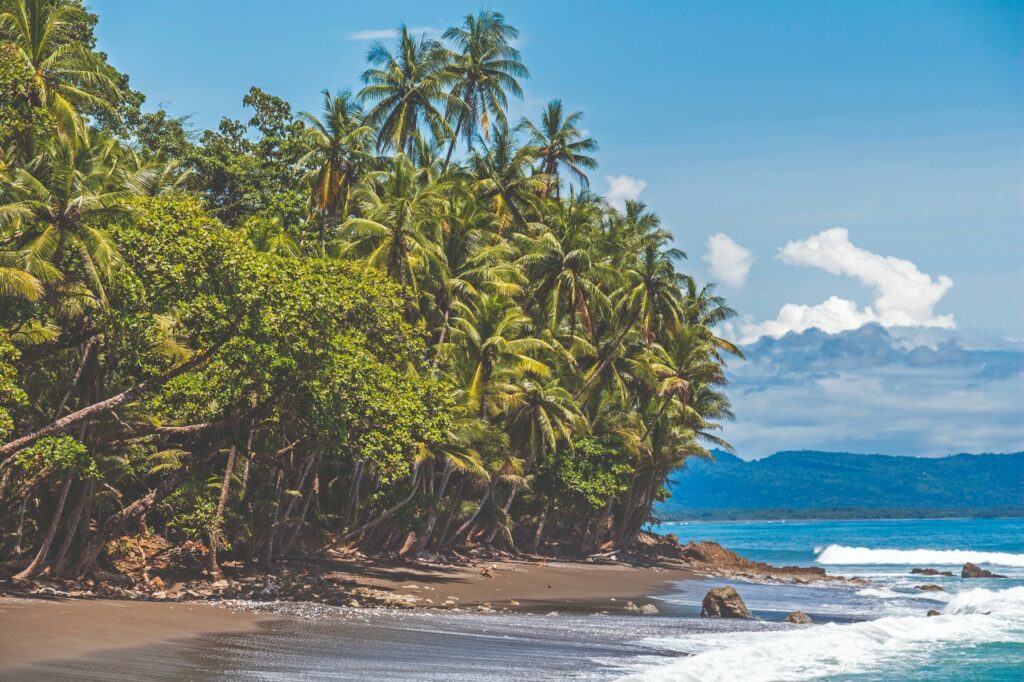Corcovado Nationalpark Costa Rica