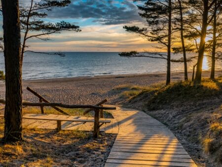 Holzsteg am Strand von Jurmala in Lettland flankiert von Bäumen im goldenen Abendlicht. Im Hintergrund ist das Meer zu sehen.